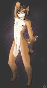 Rating: Explicit Score: 0 Tags: 2010 anthro armband balls biped blue_eyes canid canine e621 flaccid foreskin fox genitals hand_behind_head hi_res horn humanoid_genitalia humanoid_penis hybrid jewelry male mammal necklace nude penis solo standing tail xanshabib User: bunchy7s
