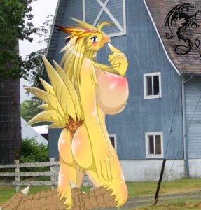 Rating: Explicit Score: 0 Tags: chocobo female final_fantasy rule34 tagme User: bunchy7s