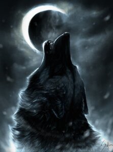 Rating: Safe Score: 0 Tags: 2013 ambiguous_gender black_body black_fur black_nose bust_portrait canid canine canis cloud crescent_moon dark dark_theme digital_media_(artwork) digital_painting_(artwork) e621 eclipse eyes_closed fangs feral fur howl mammal monochrome moon night open_mouth outside painting_(artwork) portrait safiru side_view sky solo teeth whiskers wolf User: bunchy7s Rating: Safe Score: 0 Tags: 2013 ambiguous_gender black_body black_fur black_nose bust_portrait canid canine canis cloud crescent_moon dark dark_theme digital_media_(artwork) digital_painting_(artwork) e621 eclipse eyes_closed fangs feral fur howl mammal monochrome moon night open_mouth outside painting_(artwork) portrait safiru side_view sky solo teeth whiskers wolf User: bunchy7s