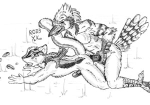 Rating: Explicit Score: 0 Tags: anal anal_penetration anthro atsumori999 avian beak bird blue_jay chipmunk corvid duo e621 erection genitals ground_squirrel humanoid_genitalia humanoid_penis interspecies jay_(bird) male male/male male_penetrated male_penetrating male_penetrating_male mammal monochrome new_world_jay nude oscine passerine penetration penis rodent sciurid seed sex tail User: bunchy7s