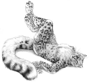 Rating: Explicit Score: 0 Tags: 2012 animal_genitalia animal_penis anthro biped blotch e621 erection feet felid feline_genitalia feline_penis fluffy fluffy_tail genitals hand_on_leg hand_on_thigh hindpaw legs_up leopard_spots looking_at_viewer lying male mammal monochrome nude on_back pantherine paws penile_spines penis plantigrade scratches_volume_6 simple_background snow_leopard solo spots tail traditional_media_(artwork) whiskers white_background User: bunchy7s Rating: Explicit Score: 0 Tags: 2012 animal_genitalia animal_penis anthro biped blotch e621 erection feet felid feline_genitalia feline_penis fluffy fluffy_tail genitals hand_on_leg hand_on_thigh hindpaw legs_up leopard_spots looking_at_viewer lying male mammal monochrome nude on_back pantherine paws penile_spines penis plantigrade scratches_volume_6 simple_background snow_leopard solo spots tail traditional_media_(artwork) whiskers white_background User: bunchy7s