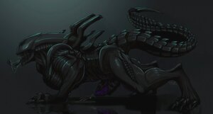 Rating: Explicit Score: 0 Tags: 2012 alien alien_(franchise) all_fours bodily_fluids cheek_window claws cum cum_on_ground dark digitigrade drooling e621 erection exoskeleton feral genital_fluids genitals male masturbation muscular muscular_feral muscular_male nude open_mouth orgasm pcz penile penile_masturbation penis purple_penis reflection saliva sharp_teeth snakehead404 solo spade_tail spikes tail teeth toe_claws tongue xenomorph User: bunchy7s