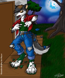 Rating: Safe Score: 0 Tags: anthro bottomwear canid canine canis catmonkshiro clothing e621 footwear full_moon legwear male mammal moon mythological_canine mythological_creature mythology night outside pants paws shirt sky socks solo star starry_sky tail teeth thrash thrashwolf topwear transformation werecanid werecanine werecreature werewolf wolf User: bunchy7s Rating: Safe Score: 0 Tags: anthro bottomwear canid canine canis catmonkshiro clothing e621 footwear full_moon legwear male mammal moon mythological_canine mythological_creature mythology night outside pants paws shirt sky socks solo star starry_sky tail teeth thrash thrashwolf topwear transformation werecanid werecanine werecreature werewolf wolf User: bunchy7s