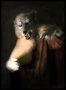 Rating: Safe Score: 0 Tags: ambiguous_gender anthro canid canine canis clothing costume e621 fangs fursuit grandfathered_content looking_at_viewer mammal pounce qarrezel real robe solo teeth wolf User: bunchy7s Rating: Safe Score: 0 Tags: ambiguous_gender anthro canid canine canis clothing costume e621 fangs fursuit grandfathered_content looking_at_viewer mammal pounce qarrezel real robe solo teeth wolf User: bunchy7s