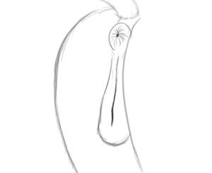 Rating: Explicit Score: 0 Tags: 2d_animation anatomically_correct anatomically_correct_genitalia anatomically_correct_vulva animal_genitalia animal_vulva animated animated_gif anus black_and_white butt butt_shot clitoral_winking clitoris close-up e621 equid equine equine_genitalia equine_vulva female feral frame_by_frame genital_shot genitals horse line_art mammal monochrome puffy_anus raised_tail short_playtime simple_background sketch solo subtle_animation tail vertex vulva vulva_shot white_background User: bunchy7s Rating: Explicit Score: 0 Tags: 2d_animation anatomically_correct anatomically_correct_genitalia anatomically_correct_vulva animal_genitalia animal_vulva animated animated_gif anus black_and_white butt butt_shot clitoral_winking clitoris close-up e621 equid equine equine_genitalia equine_vulva female feral frame_by_frame genital_shot genitals horse line_art mammal monochrome puffy_anus raised_tail short_playtime simple_background sketch solo subtle_animation tail vertex vulva vulva_shot white_background User: bunchy7s
