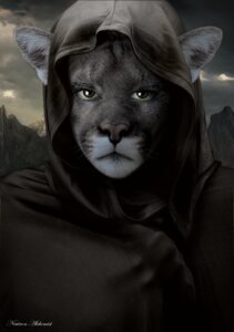Rating: Safe Score: 0 Tags: ambiguous_gender anthro biped cape clothed clothing cloud cougar digital_media_(artwork) e621 felid feline front_view fully_clothed half-length_portrait hood landscape looking_at_viewer mammal mountain neutron_alchemist outside photo_manipulation photomorph portrait solo standing third-party_edit yellow_eyes User: bunchy7s