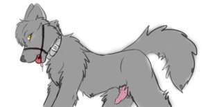 Rating: Explicit Score: 0 Tags: 2011 all_fours animal_genitalia animal_penis anthro ball_gag bodily_fluids canid canine canine_genitalia canine_penis canis collar cum e621 ears_back erection fur gag gagged genital_fluids genitals grey_body grey_fur grey_tail halter harness harness_ball_gag harness_gag knot looking_at_viewer lunar_epitaph male mammal muzzle_(object) muzzled nude penis pivoted_ears side_view simple_background solo tail white_background wolf User: bunchy7s