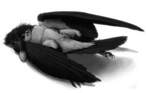 Rating: Explicit Score: 0 Tags: 2011 abstract_background ambiguous_gender animal_genitalia avian avian_butt avian_feet barely_visible_genitalia beak bird black_body black_feathers cloaca corvid corvus_(genus) crow e621 feathered_wings feathers genitals hooded_crow jackrow_(character) monochrome oscine passerine presenting presenting_cloaca simple_background solo wairu white_body white_feathers wings User: bunchy7s