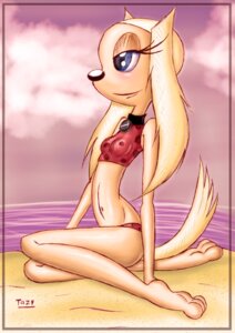 Rating: Questionable Score: 0 Tags: anthro beach bikini bikini_bralette biped blue_eyes brandy_and_mr._whiskers brandy_harrington breasts canid canine canis clothed clothing cloud collar detailed_background disney domestic_dog e621 female heart_symbol innocenttazlet mammal midriff outside sand seaside side_view signature sitting skimpy sky small_breasts solo swimwear tail two-piece_swimsuit water User: bunchy7s