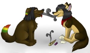 Rating: Questionable Score: 0 Tags: 2010 ambiguous_gender canid canine canis digital_media_(artwork) domestic_dog drugs duo e621 feral lighter mammal marijuana pipe rasta smoke smoking smoking_pipe stoned substance_intoxication tail weapon zoophilic User: bunchy7s