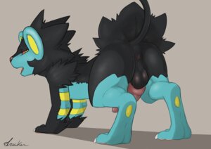 Rating: Explicit Score: 0 Tags: 2014 animal_genitalia animal_penis anus backsack balls black_balls butt canine_genitalia canine_penis digital_media_(artwork) dreiker e621 erection felid feral generation_4_pokemon genitals knot looking_at_viewer luxray male mammal nintendo nude open_mouth penis pokemon pokemon_(species) presenting presenting_hindquarters raised_tail simple_background solo tail User: bunchy7s