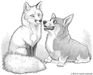 Rating: Safe Score: 0 Tags: 2013 ambiguous_gender brett_(bdever) canid canine canis domestic_dog duo e621 feral fox greyscale herding_dog hkluterman kyoht_luterman mammal monochrome open_mouth pastoral_dog simple_background smile stare tail teeth tongue tongue_out traditional_media_(artwork) welsh_corgi User: bunchy7s Rating: Safe Score: 0 Tags: 2013 ambiguous_gender brett_(bdever) canid canine canis domestic_dog duo e621 feral fox greyscale herding_dog hkluterman kyoht_luterman mammal monochrome open_mouth pastoral_dog simple_background smile stare tail teeth tongue tongue_out traditional_media_(artwork) welsh_corgi User: bunchy7s