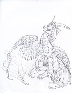 Rating: Safe Score: 0 Tags: 2010 ambiguous_gender aversion black_and_white dragon e621 feathered_dragon feathered_scalie feathered_wings feathers feral hibbary monochrome mythological_creature mythological_scalie mythology pencil_(object) scales scalie sketch solo tail wings User: bunchy7s Rating: Safe Score: 0 Tags: 2010 ambiguous_gender aversion black_and_white dragon e621 feathered_dragon feathered_scalie feathered_wings feathers feral hibbary monochrome mythological_creature mythological_scalie mythology pencil_(object) scales scalie sketch solo tail wings User: bunchy7s