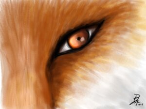 Rating: Safe Score: 0 Tags: 2011 4:3 ambiguous_gender canid canine close-up digital_media_(artwork) digital_painting_(artwork) e621 eye_shot eyes_close-up feral fox fur limbal_ring mammal naaby orange_body orange_eyes orange_fur painting_(artwork) red_fox signature solo true_fox User: bunchy7s