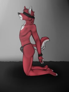 Rating: Questionable Score: 0 Tags: anthro bdsm biped blindfold bondage bound bulge canid canine canis clothed clothing conjures e621 g-string harfang_wulfrick hi_res kneeling male mammal red_wolf solo submissive submissive_male thong topless underwear wolf User: bunchy7s