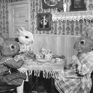 Rating: Safe Score: 0 Tags: 1:1 beverage carrot container cup e621 female food grand_ole_bestiary grandfathered_content greyscale group human lagomorph leporid male mammal monochrome plant rabbit real shopped sitting tea third-party_edit unknown_artist vegetable User: bunchy7s