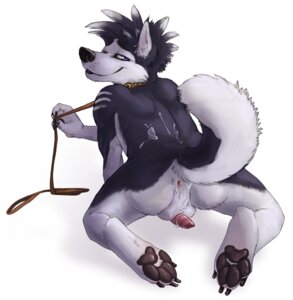 Rating: Explicit Score: 0 Tags: 4_toes after_sex anthro anus backsack balls blue_eyes bodily_fluids butt canid canine canis claws collar cum cum_in_ass cum_inside cum_on_back cum_on_butt digitigrade domestic_dog e621 erection feet frrit genital_fluids genitals hindpaw husky leash looking_at_viewer looking_back looking_back_at_viewer male mammal nordic_sled_dog nude pawpads paws penis penis_backwards presenting presenting_hindquarters rear_view simple_background smile soles solo spitz toes white_background User: bunchy7s