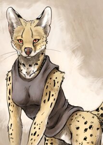 Rating: Explicit Score: 0 Tags: anthro black_sleeveless_shirt bottomless clothed clothing e621 felid feline female genitals looking_at_viewer mammal serval shirt skimpy sleeveless_shirt solo syrinoth tail topwear vulva whiskers User: bunchy7s