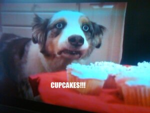 Rating: Safe Score: 0 Tags: 4:3 ambiguous_gender australian_shepherd black_nose blue_eyes bust_portrait canid canine canis cupcake domestic_dog e621 english_text facial_markings feral food front_view grandfathered_content head_markings herding_dog hi_res image_macro impact_(font) looking_at_viewer mammal markings meme pastoral_dog photography_(artwork) portrait quadruped real sheepdog solo stain standing text three-quarter_view unknown_artist User: bunchy7s Rating: Safe Score: 0 Tags: 4:3 ambiguous_gender australian_shepherd black_nose blue_eyes bust_portrait canid canine canis cupcake domestic_dog e621 english_text facial_markings feral food front_view grandfathered_content head_markings herding_dog hi_res image_macro impact_(font) looking_at_viewer mammal markings meme pastoral_dog photography_(artwork) portrait quadruped real sheepdog solo stain standing text three-quarter_view unknown_artist User: bunchy7s