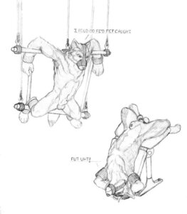 Rating: Explicit Score: 0 Tags: anthro balls bondage canine cock_and_ball_torture cock_and_balls_torture coyote coyote_osborne fur furry male mammal monochrome penis rule34 testicles wolf User: bunchy7s