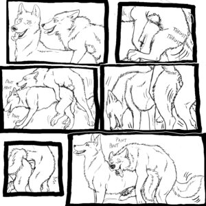 Rating: Explicit Score: 0 Tags: 1:1 anal anal_penetration balls barkwoof canid canine canis domestic_dog duo e621 erection eyes_closed feral feral_on_feral genitals hi_res male male/male male_penetrated male_penetrating male_penetrating_male mammal monochrome nude open_mouth penetration penile penile_penetration penis penis_in_ass sex tail tongue wolf User: bunchy7s
