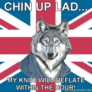 Rating: Questionable Score: 0 Tags: 1:1 advice_dog advice_meme anthro british canid canine canis caption chin_up classy clothed clothing e621 english_text eyewear flag glasses grandfathered_content humor lol_comments looking_at_viewer low_res male mammal meme reaction_image shopped solo suit text third-party_edit union_jack united_kingdom unknown_artist wolf yellow_eyes User: bunchy7s Rating: Questionable Score: 0 Tags: 1:1 advice_dog advice_meme anthro british canid canine canis caption chin_up classy clothed clothing e621 english_text eyewear flag glasses grandfathered_content humor lol_comments looking_at_viewer low_res male mammal meme reaction_image shopped solo suit text third-party_edit union_jack united_kingdom unknown_artist wolf yellow_eyes User: bunchy7s