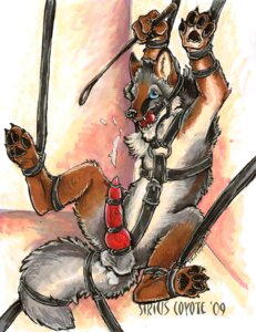 Rating: Explicit Score: 0 Tags: 2009 accessory anthro ball_gag balls bdsm bodily_fluids bondage bound canid canine canis cock_ring coyote cum e621 erection gag gagged genital_fluids genitals jewelry knot knot_restraint male mammal multiple_cock_rings nude penis penis_accessory penis_jewelry riding_crop rope siriuscoyote solo spread_legs spreading submissive submissive_male tail whip User: bunchy7s