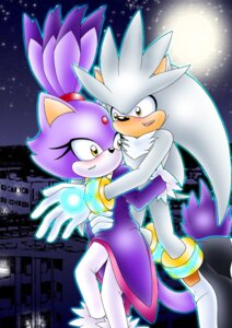 Rating: Safe Score: 0 Tags: amber_eyes anthro blaze_the_cat blush bracelet chest_tuft clothing detailed_background domestic_cat duo e621 eulipotyphlan felid feline felis female full_moon fur gloves hair handwear hedgehog jewelry male mammal moon ponytail purple_body purple_fur romantic romantic_ambiance romantic_couple sega silver_the_hedgehog sonic_the_hedgehog_(series) tail taleea toony tuft white_body white_fur User: bunchy7s