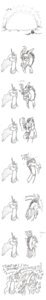 Rating: Safe Score: 0 Tags: absurd_res angry antlers chimera comic discord_(mlp) draconequus e621 equid equine feathered_wings feathers female feral friendship_is_magic hair hasbro hi_res horn laugh long_image male mammal membrane_(anatomy) membranous_wings mickeymonster monochrome my_little_pony mythological_creature mythological_equine mythology princess princess_celestia_(mlp) profanity royalty sun tall_image winged_unicorn wings User: bunchy7s