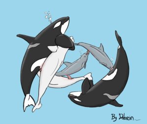 Rating: Explicit Score: 0 Tags: 2008 anatomically_correct anatomically_correct_genitalia anatomically_correct_penis anatomically_correct_vulva animal_genitalia animal_penis animal_vulva aquatic beluga bubble cetacean cetacean_genitalia cetacean_penis cetacean_vulva dolorcin dolphin e621 erection eyes_closed fellatio female feral feral_on_feral genital_slit genitals group group_sex male male/female mammal monodontid oceanic_dolphin oral oral_penetration orca orgy penetration penile penis sea sex simple_background snout_fuck tapering_penis toony toothed_whale vulva water User: bunchy7s Rating: Explicit Score: 0 Tags: 2008 anatomically_correct anatomically_correct_genitalia anatomically_correct_penis anatomically_correct_vulva animal_genitalia animal_penis animal_vulva aquatic beluga bubble cetacean cetacean_genitalia cetacean_penis cetacean_vulva dolorcin dolphin e621 erection eyes_closed fellatio female feral feral_on_feral genital_slit genitals group group_sex male male/female mammal monodontid oceanic_dolphin oral oral_penetration orca orgy penetration penile penis sea sex simple_background snout_fuck tapering_penis toony toothed_whale vulva water User: bunchy7s
