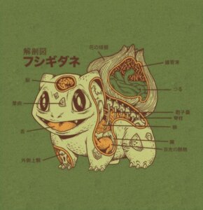 Rating: Explicit Score: 0 Tags: all_fours ambiguous_gender amphibian anatomy bald black_eyes bone brain bulbasaur claws e621 feral generation_1_pokemon gore green_background happy heart_(organ) japanese japanese_text nintendo nude open_mouth organs painless_gore plant pokemon pokemon_(species) rib_cage ryan_mauskopf sharp_teeth simple_background skull smile solo stomach teeth text tongue translation_request young User: bunchy7s