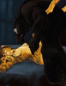 Rating: Explicit Score: 0 Tags: anthro bed canid canine canis domestic_cat duo e621 eyes_closed felid feline felis female furniture lion lying male male/female mammal on_back pantherine paws sarah_combs sex table_lotus_position tasteful wolf User: bunchy7s