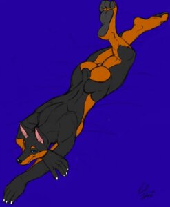 Rating: Questionable Score: 0 Tags: anthro biped butt canid canine canis compression_artifacts dobermann domestic_dog e621 feet hindpaw lying male mammal muscular muscular_anthro muscular_male nude on_front paws pinscher pointy_ears prick_ears richard_foley solo vein User: bunchy7s