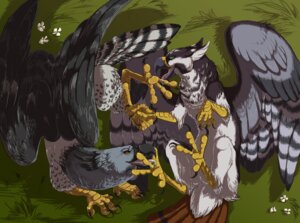 Rating: Questionable Score: 0 Tags: 4_toes accipitrid accipitriform anisodactyl augur_buzzard avian avian_feet beak bird brown_body brown_feathers buteo crouching duo e621 eagle feathered_wings feathers feet feral foot_fetish foot_lick foot_play grass grey_body grey_feathers gryphon harpy_eagle hi_res hindpaw licking lying male male/male mutual_foot_worship mythological_avian mythological_creature mythology on_back on_front outside ovens paws plant quadruped tail tail_feathers talons toes tongue tongue_out white_body white_feathers wings User: bunchy7s