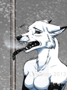 Rating: Safe Score: 0 Tags: 2013 3:4 anthro black_body black_eyes black_fur black_lips black_nose black_sclera black_skin breasts canid canine e621 ears_back english_text fangs female fox fur ice linkabell lips mammal naturally_censored nude open_mouth outside pivoted_ears small_breasts snow snowing solo stuck teeth text tongue tongue_out tongue_stuck watermark white_body white_fur User: bunchy7s