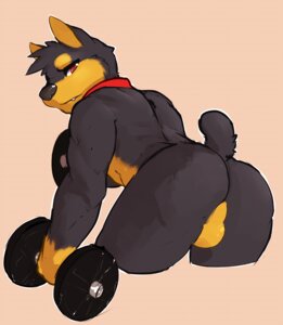 Rating: Explicit Score: 0 Tags: anthro backsack balls bent_over biceps black_body black_nose butt canid canine canis collar collar_only digital_media_(artwork) dobermann domestic_dog dumbbell e621 exercise fur genitals holding_object housepets! kevin_(housepets!) looking_at_viewer looking_back male mammal multicolored_body multicolored_fur muscular muscular_anthro muscular_male nude nude_workout pecs pinscher police_k9_unit presenting presenting_hindquarters rear_view red_eyes seth-iova solo two_tone_body two_tone_fur weightlifting weights workout User: bunchy7s Rating: Explicit Score: 0 Tags: anthro backsack balls bent_over biceps black_body black_nose butt canid canine canis collar collar_only digital_media_(artwork) dobermann domestic_dog dumbbell e621 exercise fur genitals holding_object housepets! kevin_(housepets!) looking_at_viewer looking_back male mammal multicolored_body multicolored_fur muscular muscular_anthro muscular_male nude nude_workout pecs pinscher police_k9_unit presenting presenting_hindquarters rear_view red_eyes seth-iova solo two_tone_body two_tone_fur weightlifting weights workout User: bunchy7s