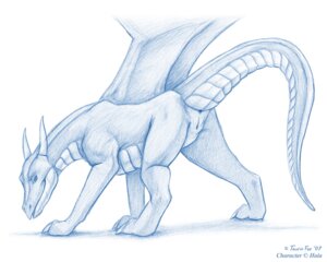 Rating: Explicit Score: 0 Tags: 2007 5:4 anus blue_and_white butt dragon e621 european_mythology female feral genitals horn membrane_(anatomy) membranous_wings monochrome mooning mythological_creature mythological_scalie mythology plump_labia presenting presenting_hindquarters raised_tail scalie simple_background sketch solo spread_legs spreading tail taurin_fox vulva western_dragon white_background wings User: bunchy7s