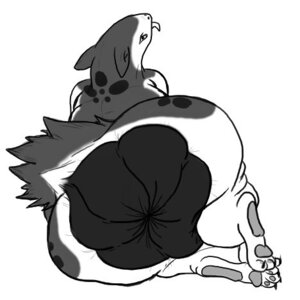 Rating: Explicit Score: 0 Tags: fur furry hyper male male_only monochrome nintendo pokemon pokemon_(species) rule34 smooth_skin solo typhlosion User: bunchy7s Rating: Explicit Score: 0 Tags: fur furry hyper male male_only monochrome nintendo pokemon pokemon_(species) rule34 smooth_skin solo typhlosion User: bunchy7s
