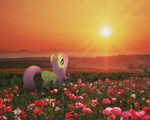Rating: Safe Score: 0 Tags: 5:4 blue_eyes cloud e621 equid equine feathered_wings feathers female feral field flower fluttershy_(mlp) friendship_is_magic fur grass hair hasbro mammal mixed_media my_little_pony mythological_creature mythological_equine mythology nature outside pegasus photo_background photography_(artwork) pink_hair plant poppy_(flower) prairie sky solo sun sunrise sunset toony unknown_artist wings yellow_body yellow_feathers yellow_fur User: bunchy7s Rating: Safe Score: 0 Tags: 5:4 blue_eyes cloud e621 equid equine feathered_wings feathers female feral field flower fluttershy_(mlp) friendship_is_magic fur grass hair hasbro mammal mixed_media my_little_pony mythological_creature mythological_equine mythology nature outside pegasus photo_background photography_(artwork) pink_hair plant poppy_(flower) prairie sky solo sun sunrise sunset toony unknown_artist wings yellow_body yellow_feathers yellow_fur User: bunchy7s