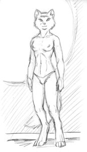 Rating: Questionable Score: 0 Tags: anthro black_and_white canid canine clothed clothing digitigrade e621 female fox mammal melika monochrome navel nipples peta_hewitt sketch solo tail terinu topless underwear User: bunchy7s