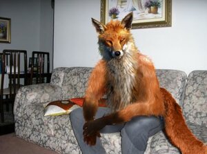 Rating: Safe Score: 0 Tags: anthro canid canine e621 esquerda_jovem fernando_(intensofox) fox furniture gaebler_youth grandfathered_content inside looking_at_viewer low_res male mammal marcos_aramha photo_manipulation photomorph sofa solo tail third-party_edit User: bunchy7s Rating: Safe Score: 0 Tags: anthro canid canine e621 esquerda_jovem fernando_(intensofox) fox furniture gaebler_youth grandfathered_content inside looking_at_viewer low_res male mammal marcos_aramha photo_manipulation photomorph sofa solo tail third-party_edit User: bunchy7s