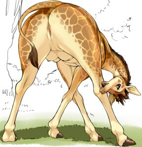 Rating: Explicit Score: 0 Tags: 2014 all_fours animal_genitalia anus big_butt blush butt crotch_breasts detailed_background digital_media_(artwork) e621 female female_feral feral genitals giraffe giraffid green_eyes horn inviting kikurage looking_at_viewer looking_back mammal nude open_mouth ossicone outside presenting presenting_hindquarters presenting_vulva rear_view shaded solo spread_legs spreading standing tail teats tongue vulva User: bunchy7s