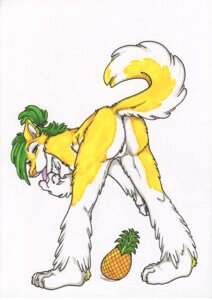 Rating: Explicit Score: 0 Tags: anthro anus bent_over breasts butt canid canine canis domestic_dog e621 ear_piercing female finger_fetish finger_lick finger_play fingers flafur food fruit fur genitals husky kwik_(artist) leaning_on_self licking mammal mooning nordic_sled_dog nude piercing pineapple plant solo spitz tail tongue tongue_out vulva yellow_body yellow_fur User: bunchy7s