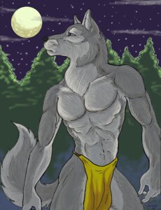 Rating: Safe Score: 0 Tags: anthro bottomwear canid canine canis caribou_(artist) clothing detailed_background e621 forest loincloth male mammal moon nature night outside plant sky solo star starry_sky tail tree wolf wood User: bunchy7s Rating: Safe Score: 0 Tags: anthro bottomwear canid canine canis caribou_(artist) clothing detailed_background e621 forest loincloth male mammal moon nature night outside plant sky solo star starry_sky tail tree wolf wood User: bunchy7s
