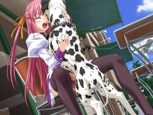 Rating: Explicit Score: 0 Tags: aihara_sarina canine canine_genitalia canine_on_human canine_penis censored chair closed_eyes delta female female_human human long_hair male male/female male_canine missionary missionary_position open_mouth penis pink_hair pussy rule34 sex shiiku_hakusho shiiku_hakusho_-_kusari_ni_tsunagareta_doukyuusei thighhighs vaginal_penetration zoophilia User: bunchy7s Rating: Explicit Score: 0 Tags: aihara_sarina canine canine_genitalia canine_on_human canine_penis censored chair closed_eyes delta female female_human human long_hair male male/female male_canine missionary missionary_position open_mouth penis pink_hair pussy rule34 sex shiiku_hakusho shiiku_hakusho_-_kusari_ni_tsunagareta_doukyuusei thighhighs vaginal_penetration zoophilia User: bunchy7s