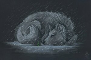 Rating: Safe Score: 0 Tags: 2013 ambiguous_gender canid canine canis e621 feral fur grey_body grey_fur idess mammal outside quadruped raining solo tail wolf User: bunchy7s
