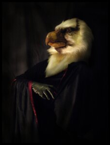 Rating: Safe Score: 0 Tags: ambiguous_gender anthro avian beak bird cariamiform clothing costume e621 fursuit grandfathered_content prehistoric_species qarrezel real solo terror_bird titanis User: bunchy7s Rating: Safe Score: 0 Tags: ambiguous_gender anthro avian beak bird cariamiform clothing costume e621 fursuit grandfathered_content prehistoric_species qarrezel real solo terror_bird titanis User: bunchy7s