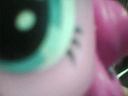 Rating: Safe Score: 0 Tags: animated animated_gif beverage candy chocolate dessert e621 earth_pony equid equine female feral food friendship_is_magic grandfathered_content hair hasbro horse low_res mammal my_little_pony pink_hair pinkie_pie_(mlp) pony qsteel quadruped real short_playtime soda solo tail thumbnail User: bunchy7s Rating: Safe Score: 0 Tags: animated animated_gif beverage candy chocolate dessert e621 earth_pony equid equine female feral food friendship_is_magic grandfathered_content hair hasbro horse low_res mammal my_little_pony pink_hair pinkie_pie_(mlp) pony qsteel quadruped real short_playtime soda solo tail thumbnail User: bunchy7s