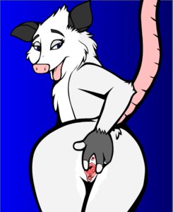 Rating: Explicit Score: 0 Tags: 1girls 2008 american_opossum anthro anus blue_eyes dreamworks female furry heather_(over_the_hedge) mammal marsupial opossum over_the_hedge paramount_pictures presenting presenting_hindquarters pussy rule34 solo solo_female spread_pussy spreading_pussy tagme tongue tongue_out toonpimp User: bunchy7s