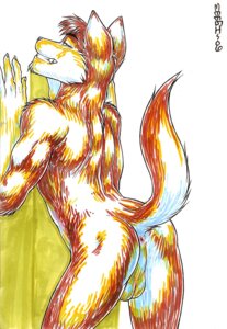 Rating: Explicit Score: 0 Tags: 2006 anthro anus backsack balls butt canid canine digital_media_(artwork) e621 genitals looking_at_viewer male mammal marker_(artwork) meesh nude pinup pose presenting raised_tail simple_background solo tail tail_anus traditional_media_(artwork) User: bunchy7s